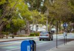 Blue collection mailboxes on a tree-lined street, one of the most common USPS drop off locations