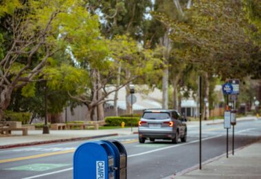 Blue collection mailboxes on a tree-lined street, one of the most common USPS drop off locations