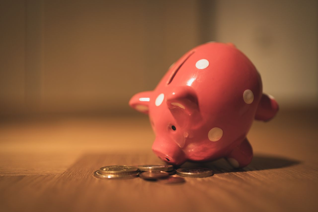 Piggy bank beside coins, a reminder that student online jobs without investment cost nothing to start